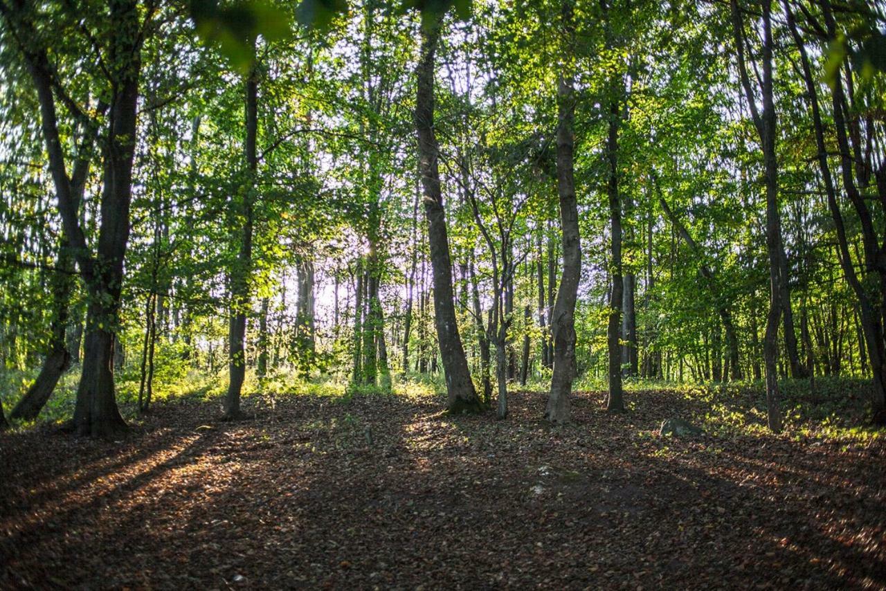 U Przyjaciol Soni Villa Mecidol Exterior foto