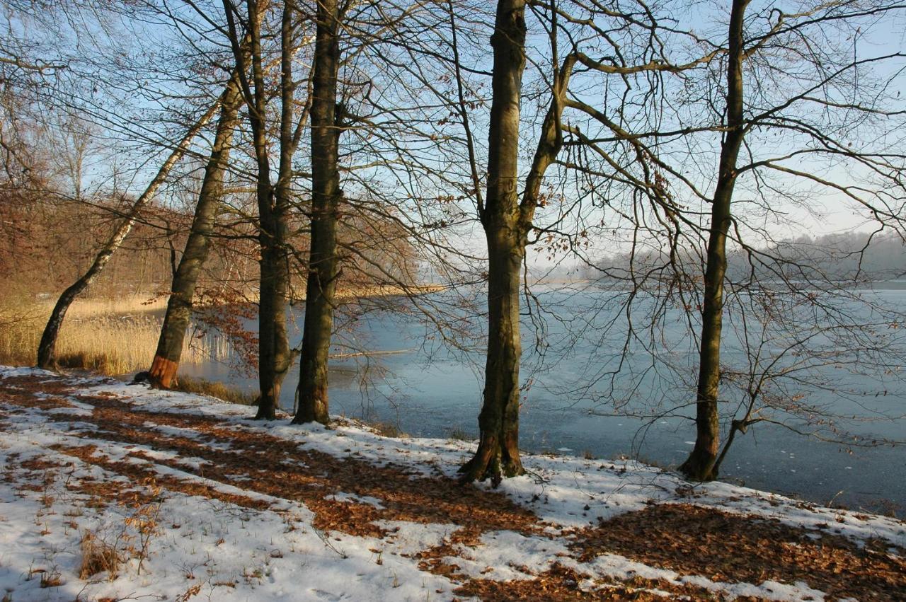 U Przyjaciol Soni Villa Mecidol Exterior foto